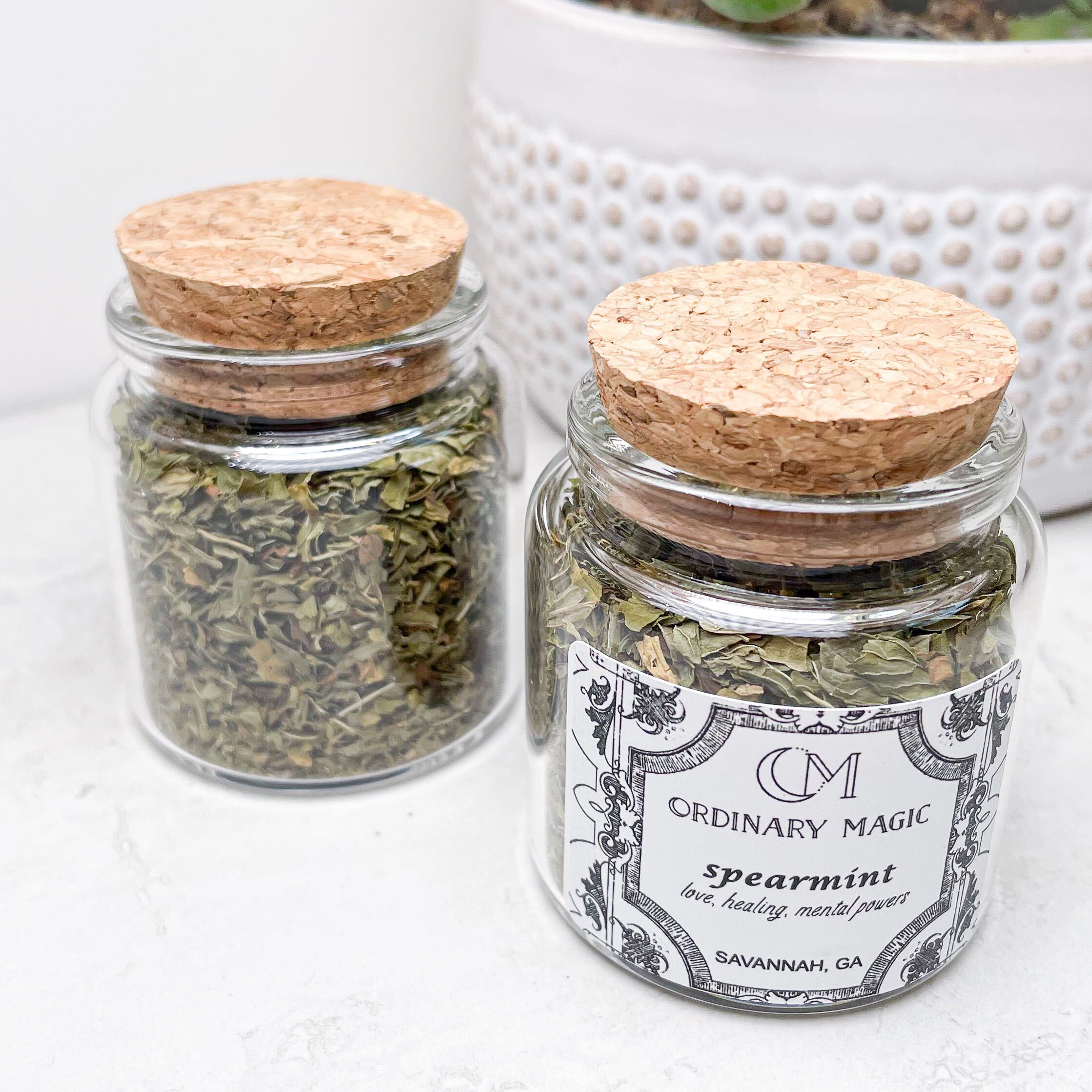 Herbs & Salts | Various Loose Herbs + Salts for spells and magick