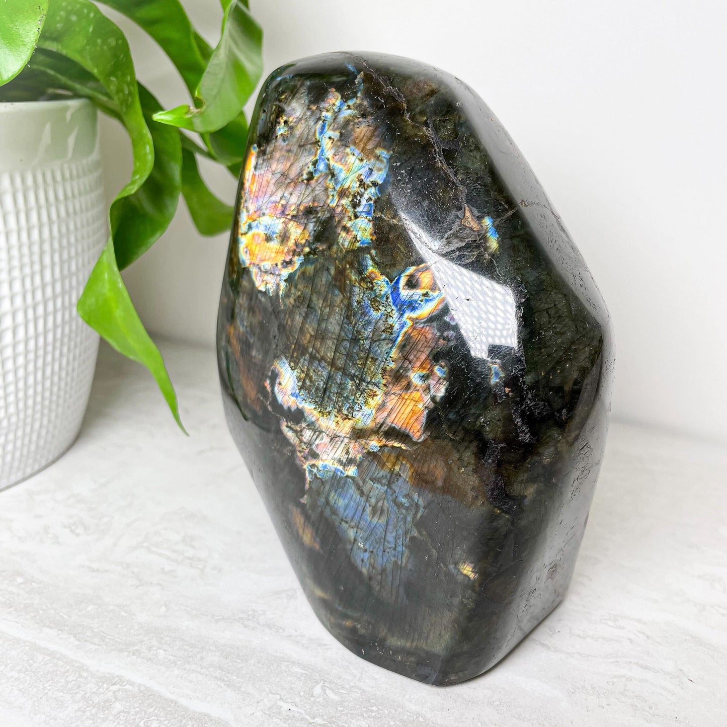 Labradorite Free Form | Various Sizes
