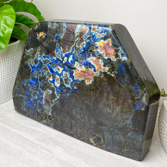 Labradorite Free Form | Various Sizes