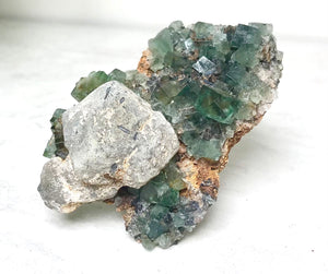 Fluorite: Lady Annabella Rainbow Specimens - Various Sizes and Colors