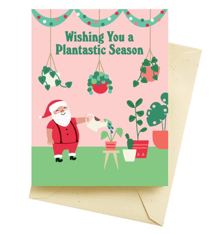 Seasonal Greeting Cards | Various Designs