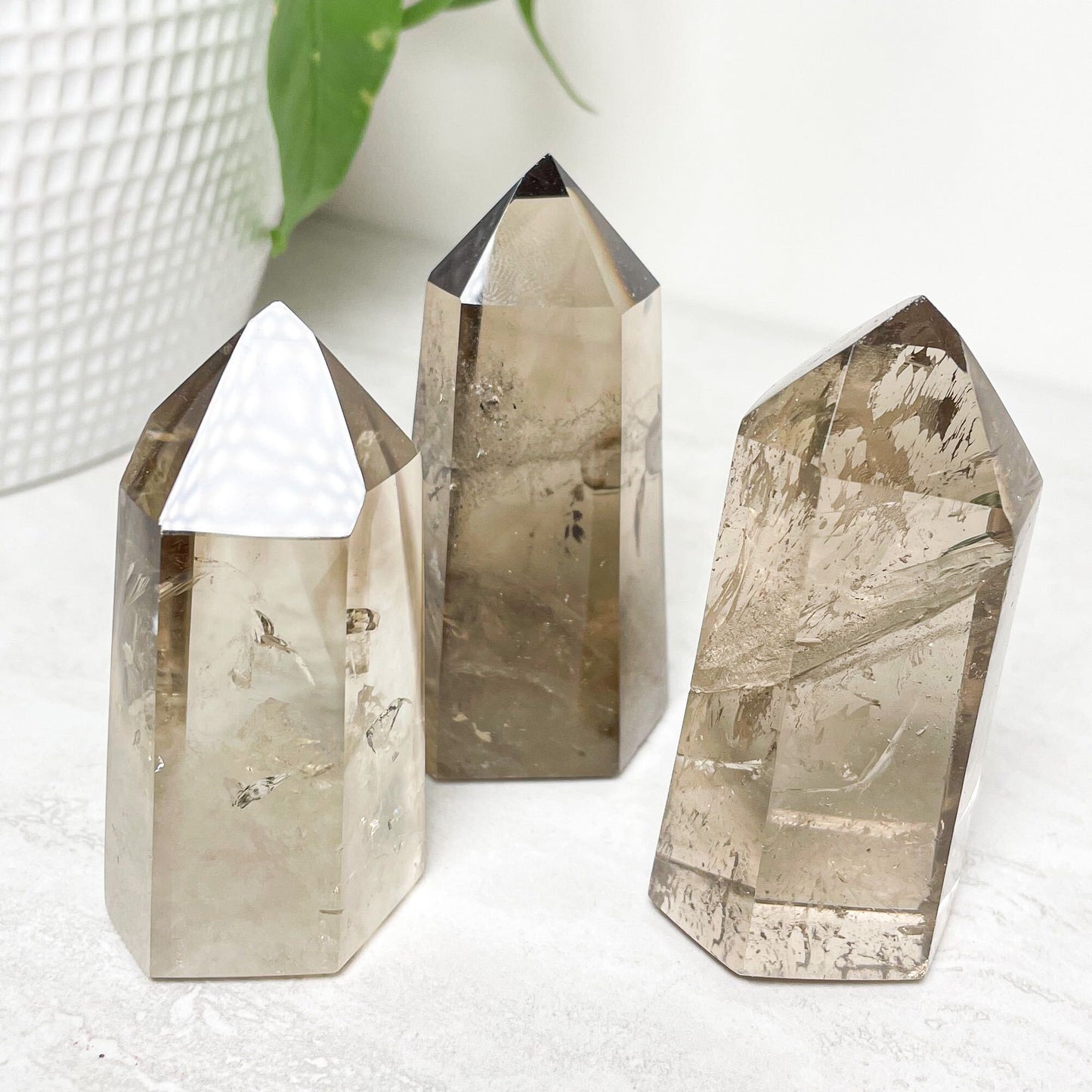 Smoky Quartz Standing Points 2.5"- 2.75"