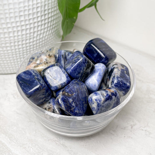 Sodalite Tumbles 1"
