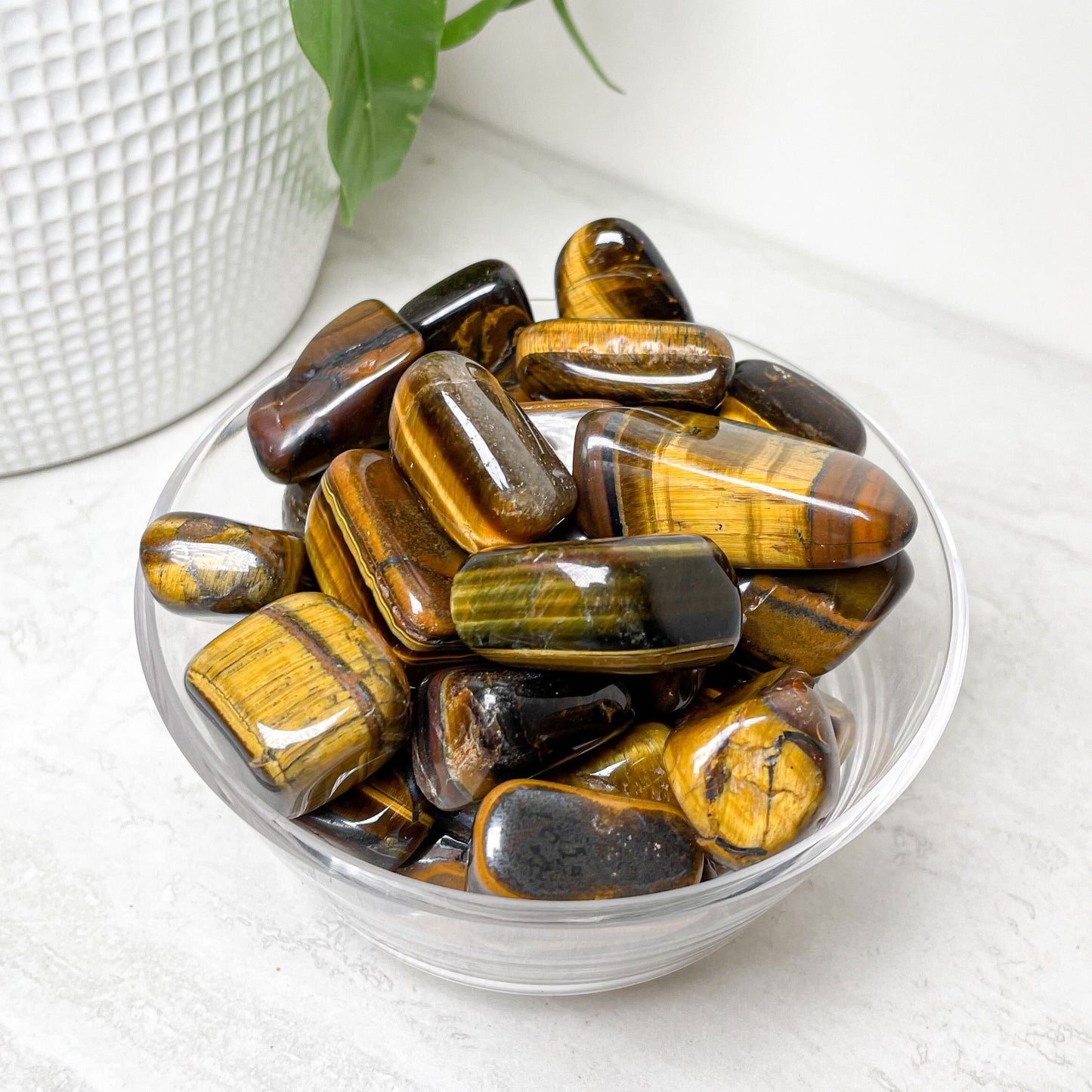 Tigers Eye Tumbles