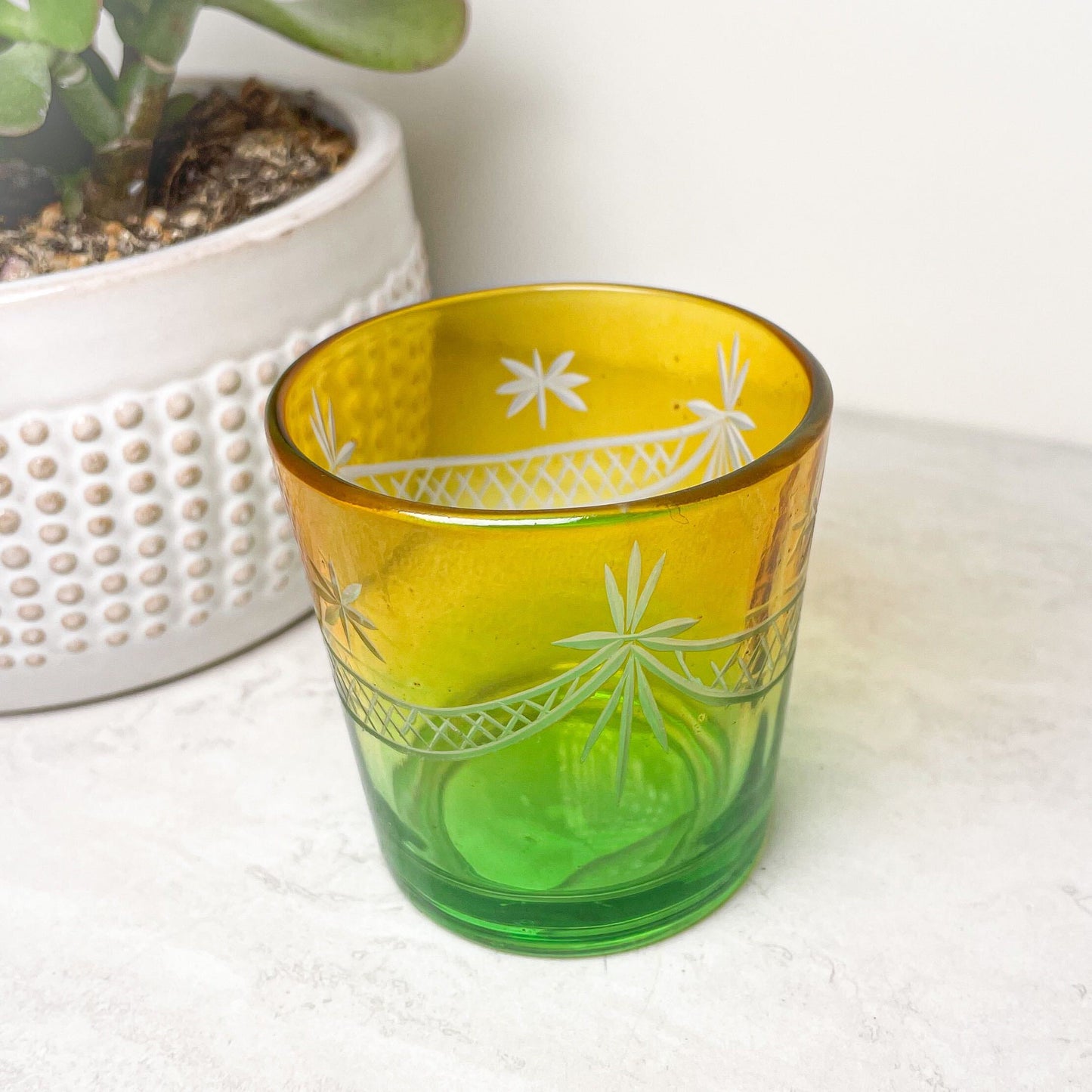 Votive Cups with Succulent | Various Colors