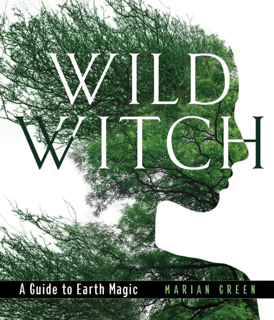 Wild Witch by Marian Green